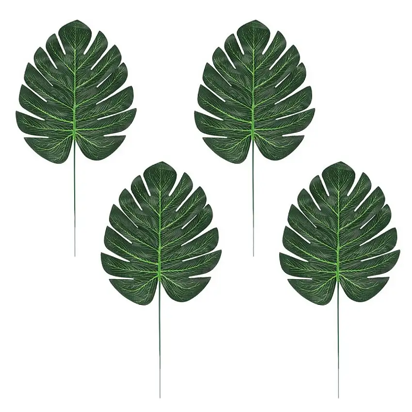 Monstera Palmblad