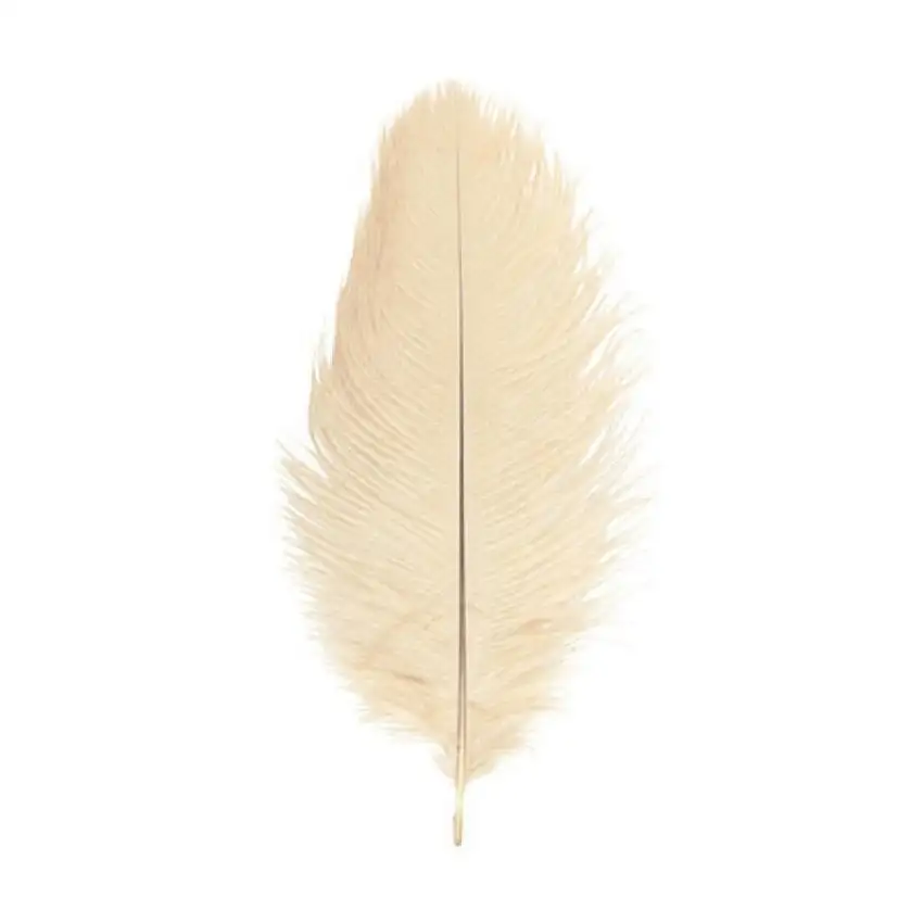 Strutsfjädrar Elfenbensvit 20-25 cm