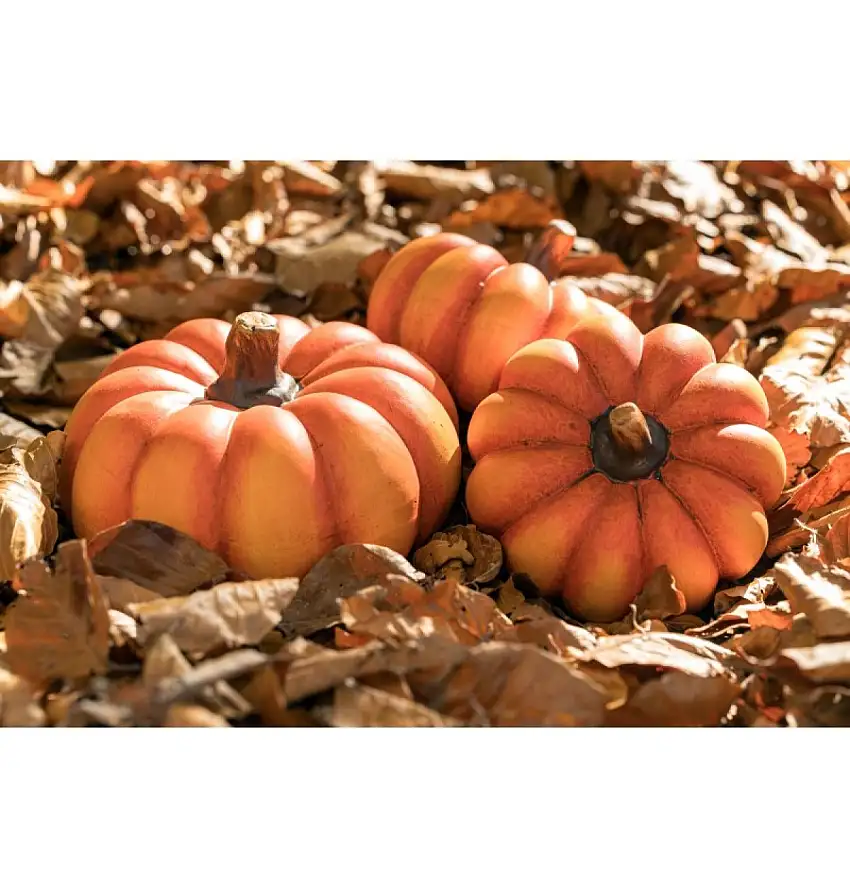 Pumpa Keramik Orange