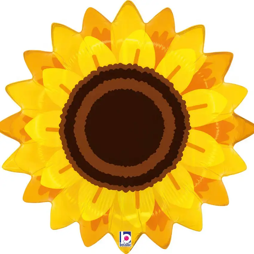 Solros Folieballong