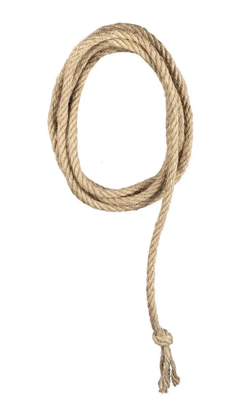 Lasso