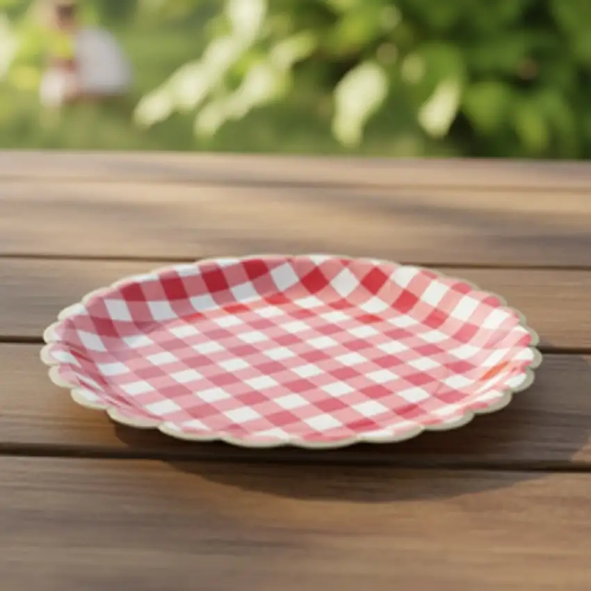 Rutig Picknick Papperstallrikar Röd/Vit